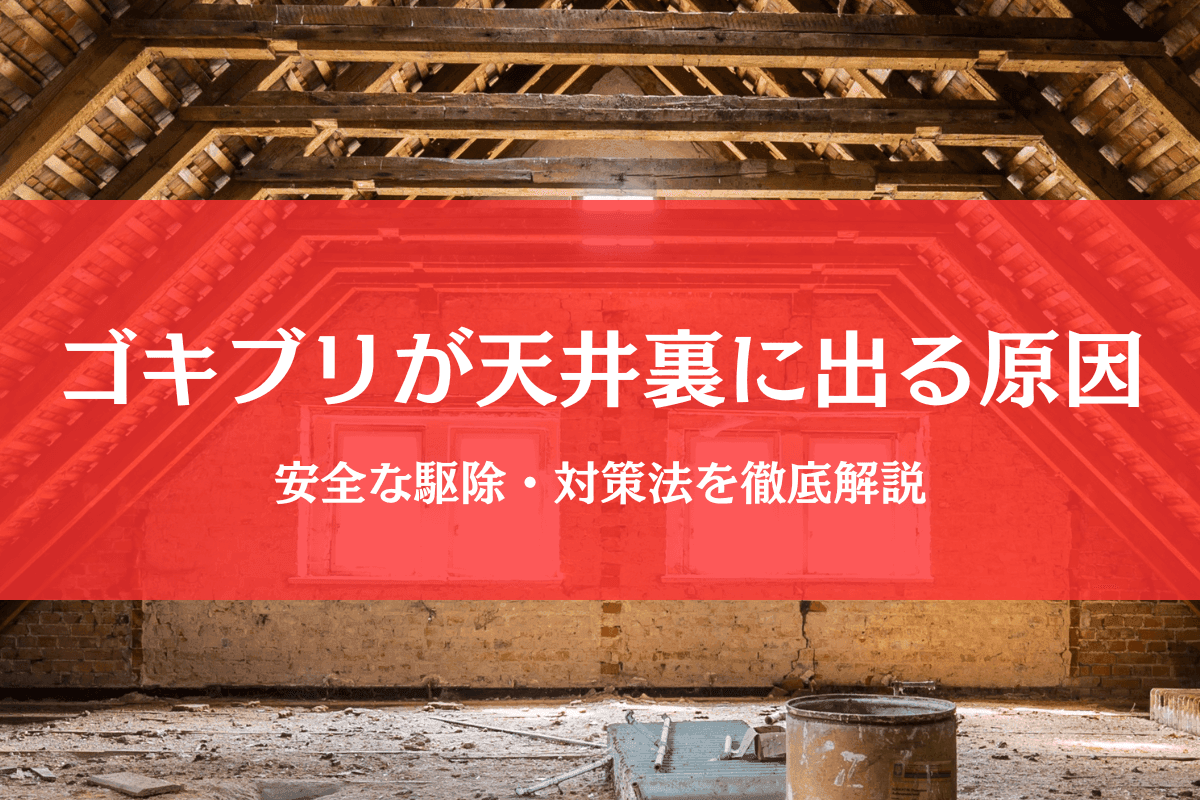 ゴキブリが天井裏に出る原因と安全な駆除・対策法を徹底解説
