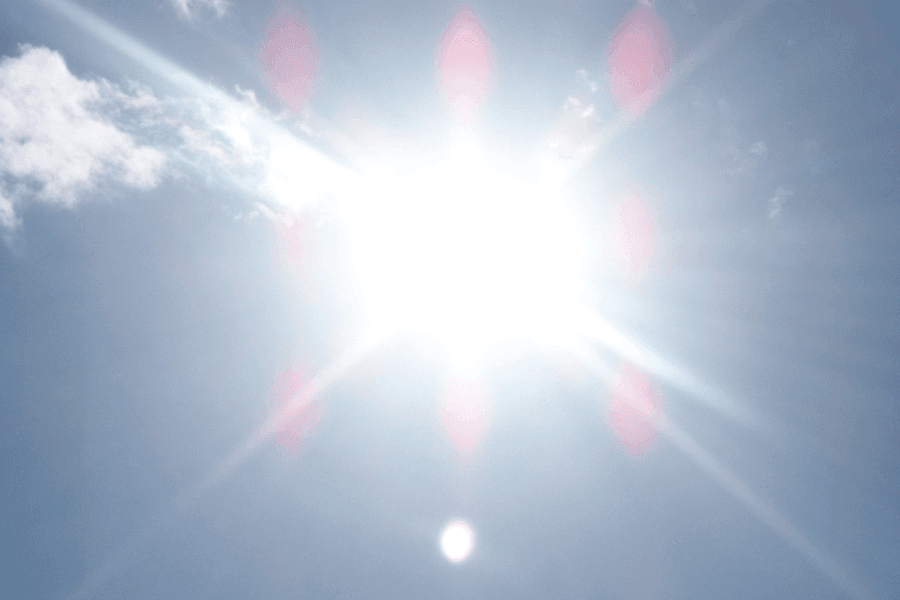 ゴキブリが熱に弱いって知ってた?