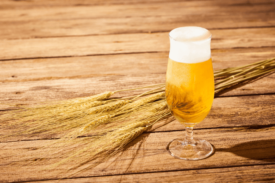 ゴキブリはアルコール好き?噂の真偽