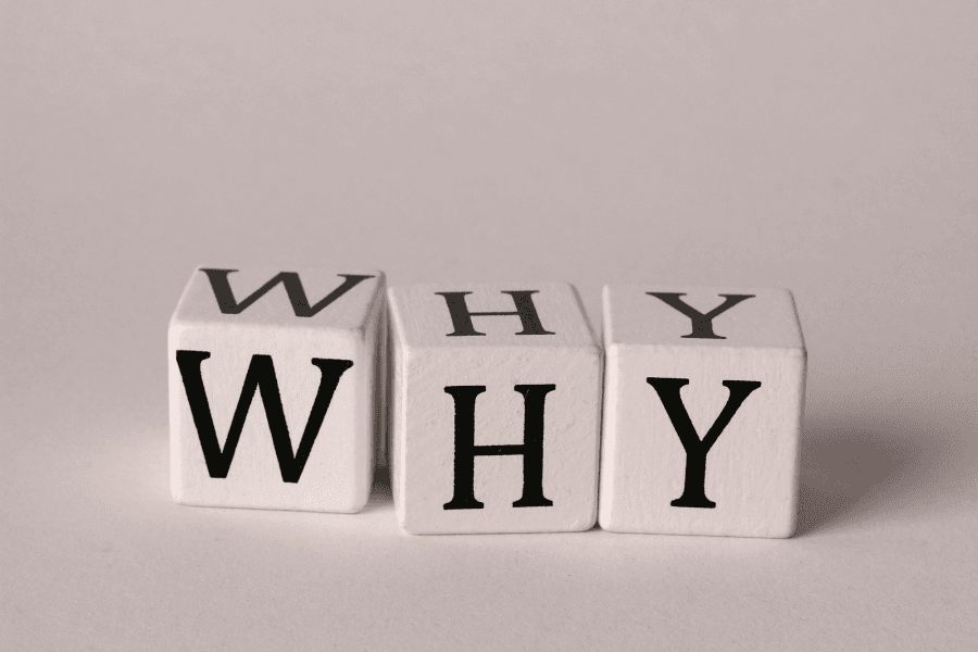 スズメバチのお酒はなぜ作られるようになった?