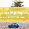 スズメバチが車に寄ってくる原因と対策｜毎日来る蜂の行動を徹底解明