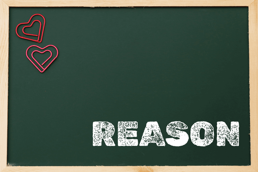 ベランダに蜂がくる理由とは?