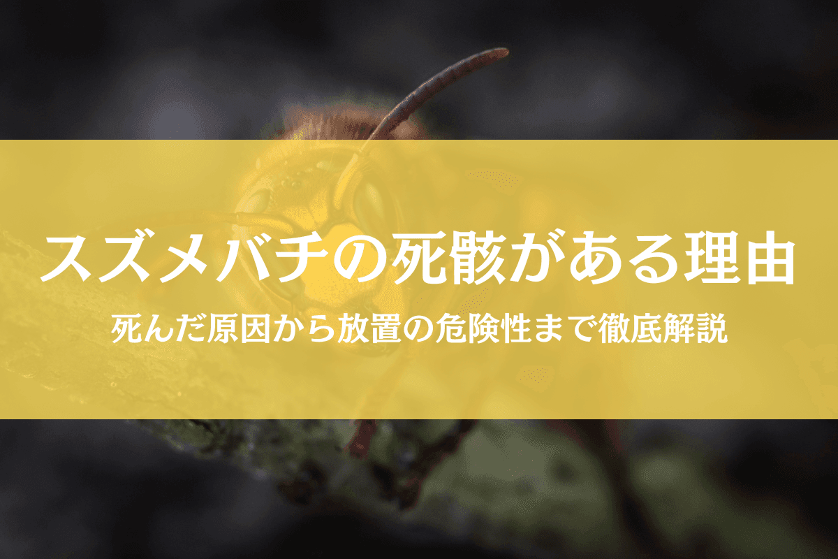 スズメバチの死骸が落ちてる理由|放置の危険性や巣の可能性を徹底解説