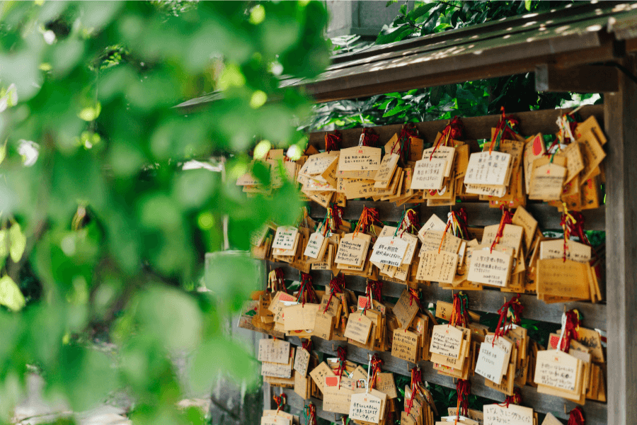 蜂の巣は縁起が悪い?それとも良い?