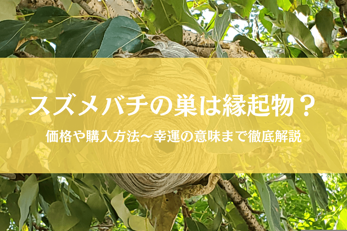 スズメバチの巣は縁起物?気になる値段からスピリチュアルな意味まで徹底調査