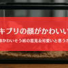 ゴキブリの顔はかわいい?殺すのかわいそう派の主張＆可愛いと思う方法まとめ