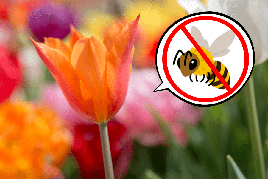 蜂が寄ってこない花はある?