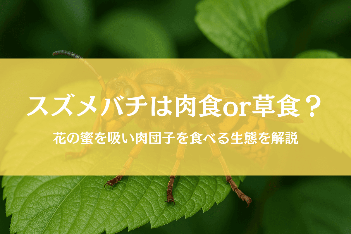 スズメバチは肉食なのに花の蜜を吸う?肉団子を食べる真相も徹底解説