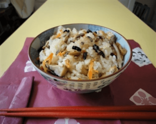 クロスズメバチの幼虫を使った岐阜の伝統料理「へぼ飯」