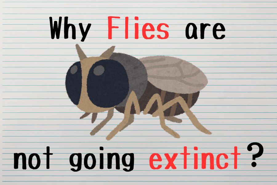 ハエはなぜ絶滅しないのか