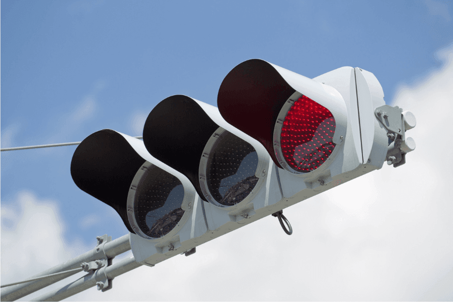 絶滅危惧種のハエも存在する？