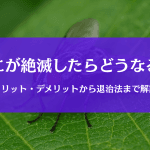 ハエが絶滅したら起こるメリット・デメリット｜人や地球への影響とは