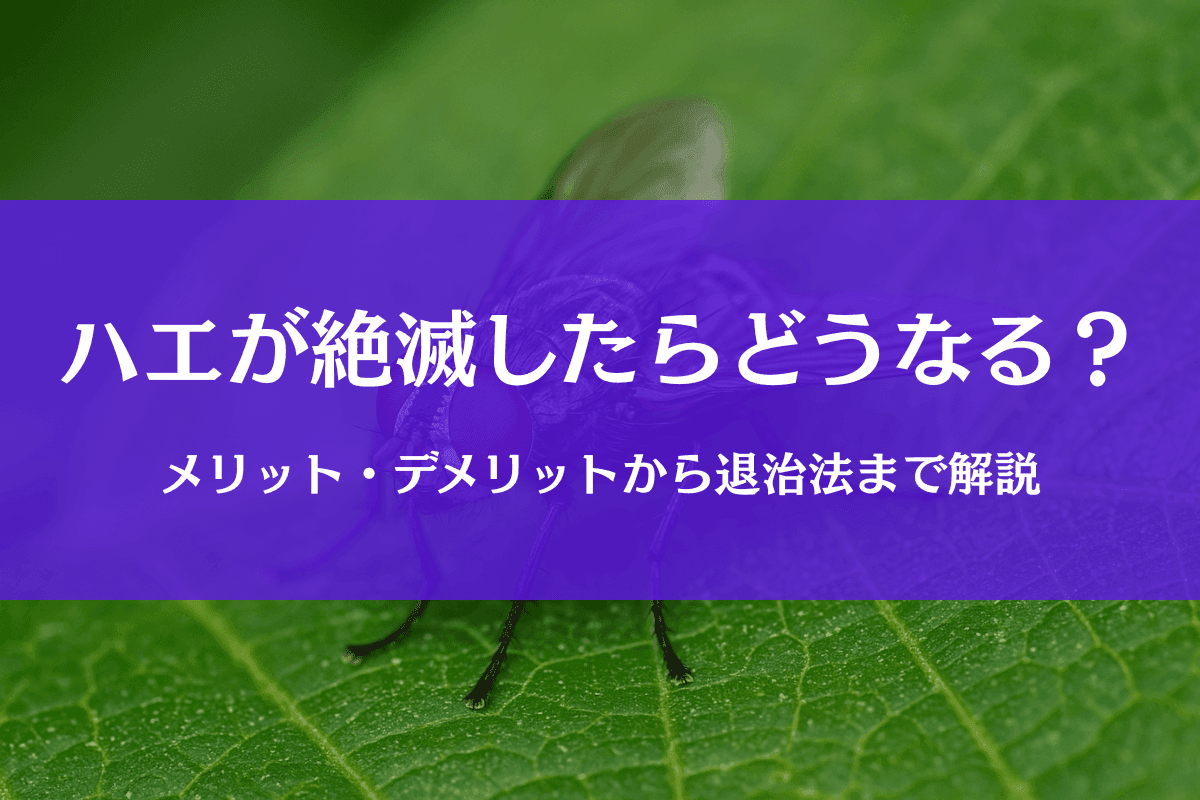 ハエが絶滅したら起こるメリット・デメリット｜人や地球への影響とは