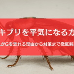 ゴキブリを平気になる方法６選｜恐怖症を克服し平気な人になれる？