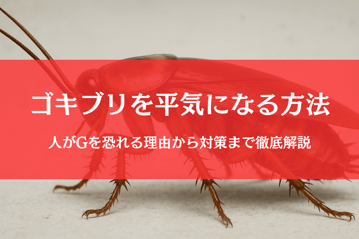 ゴキブリを平気になる方法6選|恐怖症を克服し平気な人になれる?