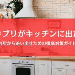 ゴキブリがキッチンに出た！引き出しもシンク下も台所の徹底対策ガイド
