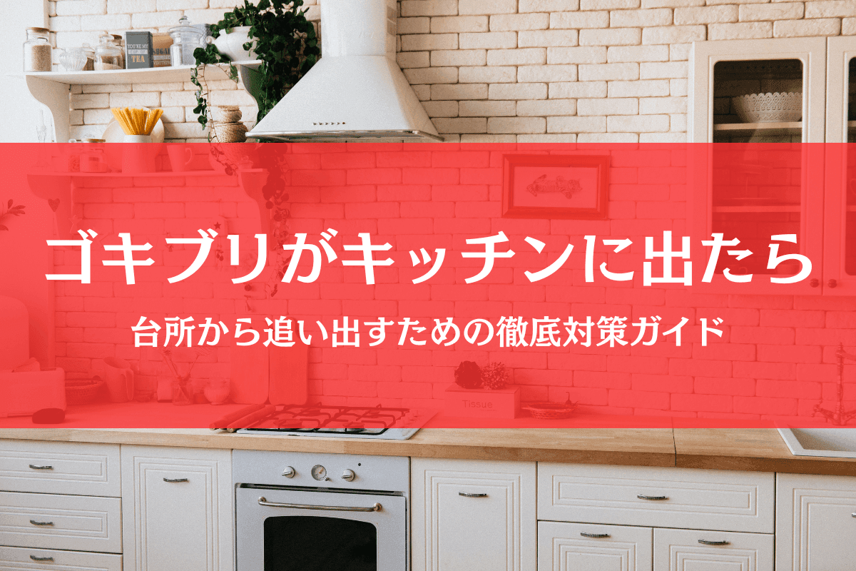 ゴキブリがキッチンに出た！引き出しもシンク下も台所の徹底対策ガイド