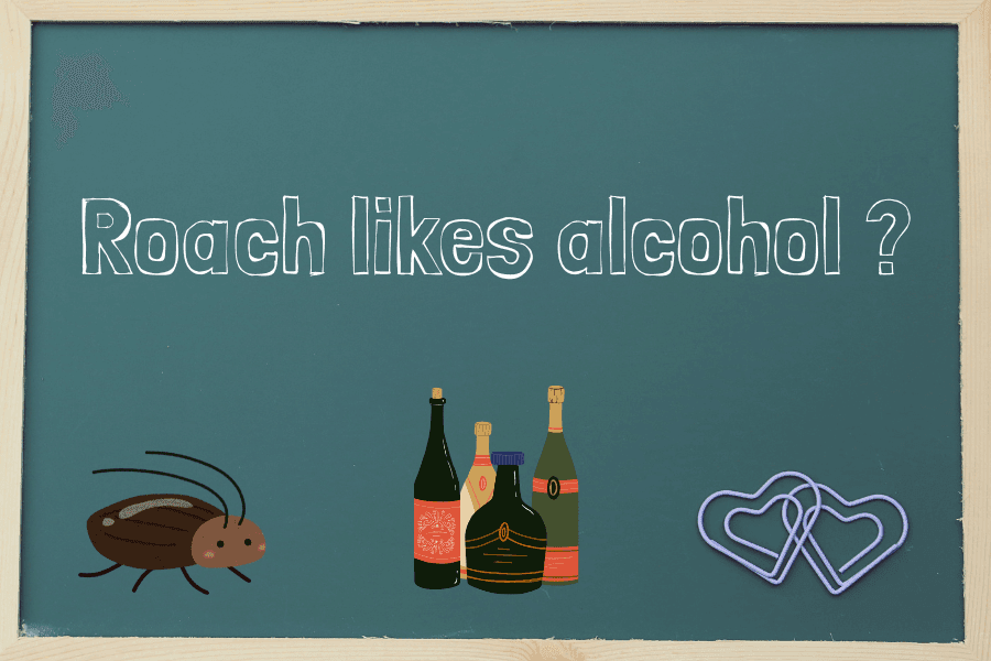 ゴキブリはそもそもアルコールが好きなのか