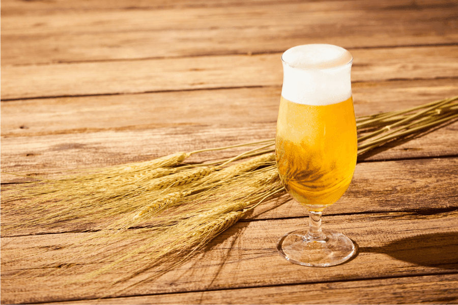 ビールの匂いだけでもゴキブリを寄せつける?