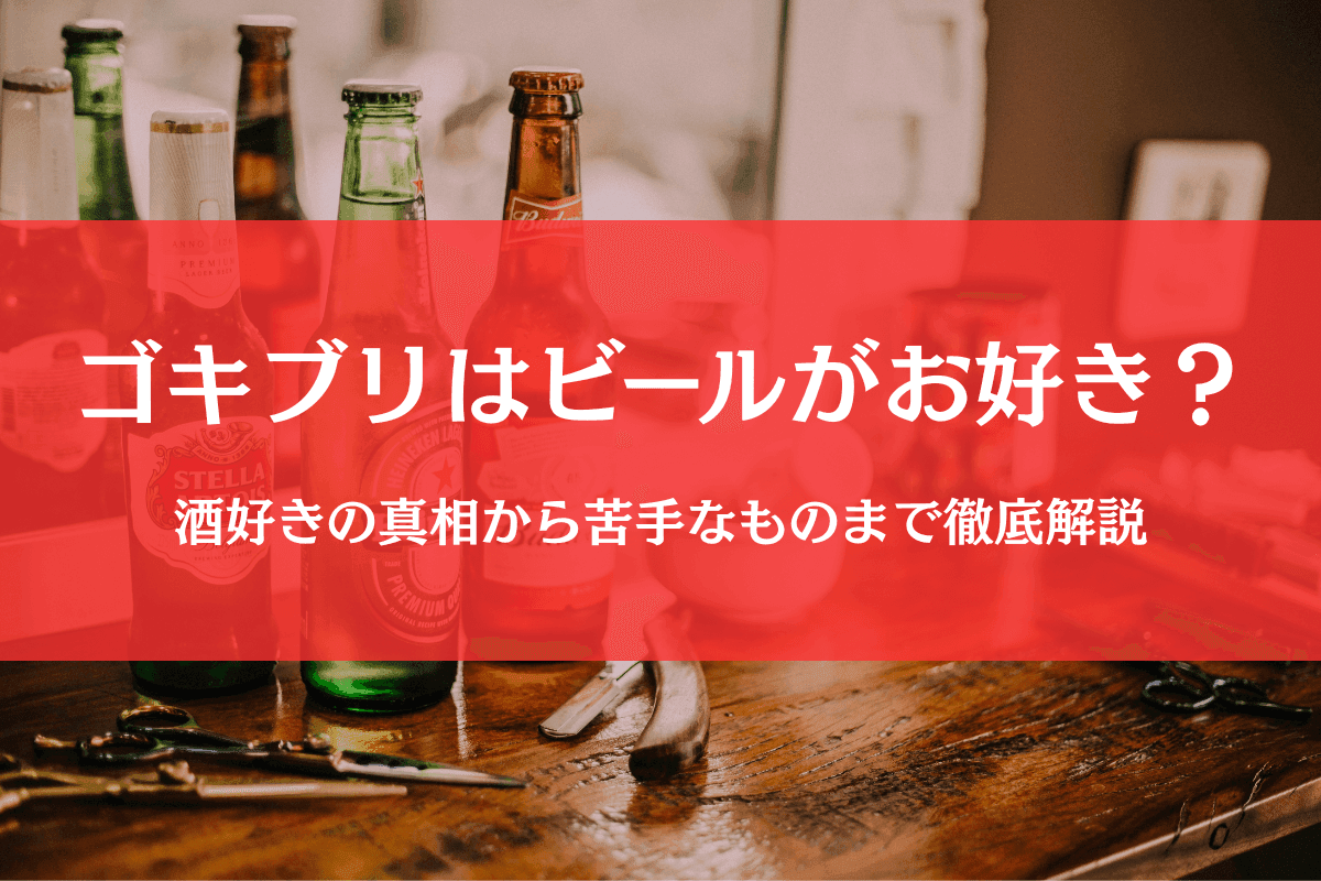 ゴキブリは酒好きでビールに寄ってくる?噂のゴキブリ酒(卵鞘酒)とは