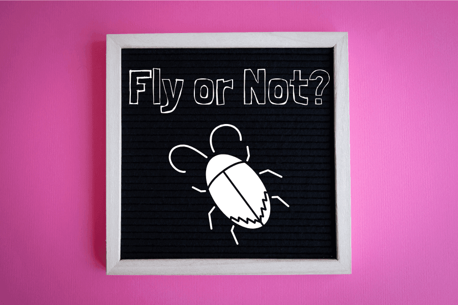 ゴキブリは飛ぶのか?それとも飛ばないのか?