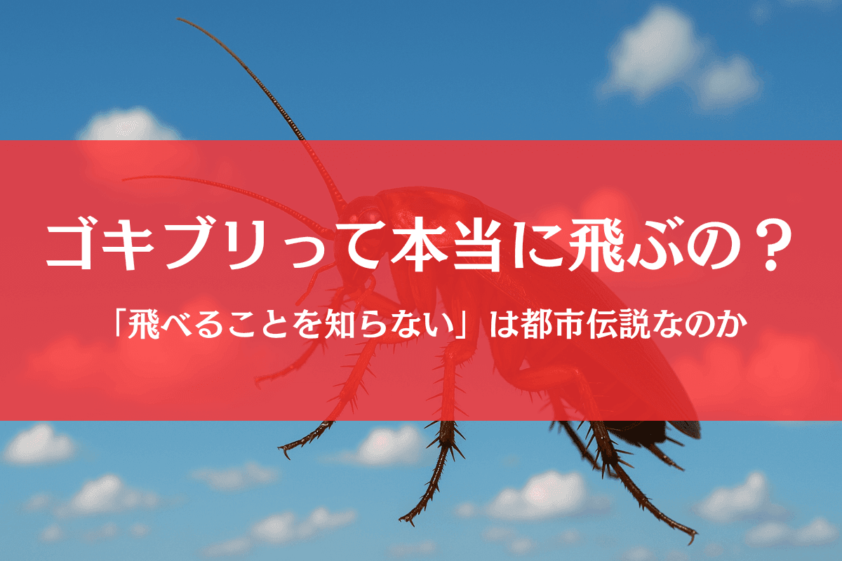 ゴキブリは飛ぶ?飛ばない?「飛べることを知らない」説の真実とは