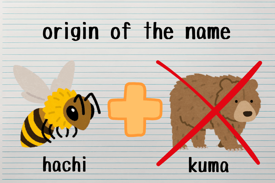 ハチクマの名前の由来