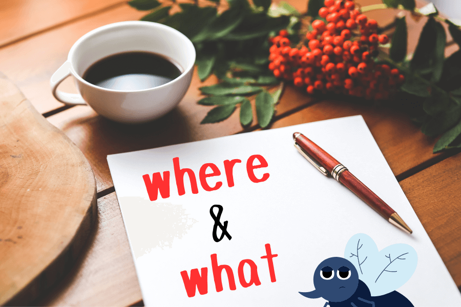 蚊は冬場どこで何をしているのか