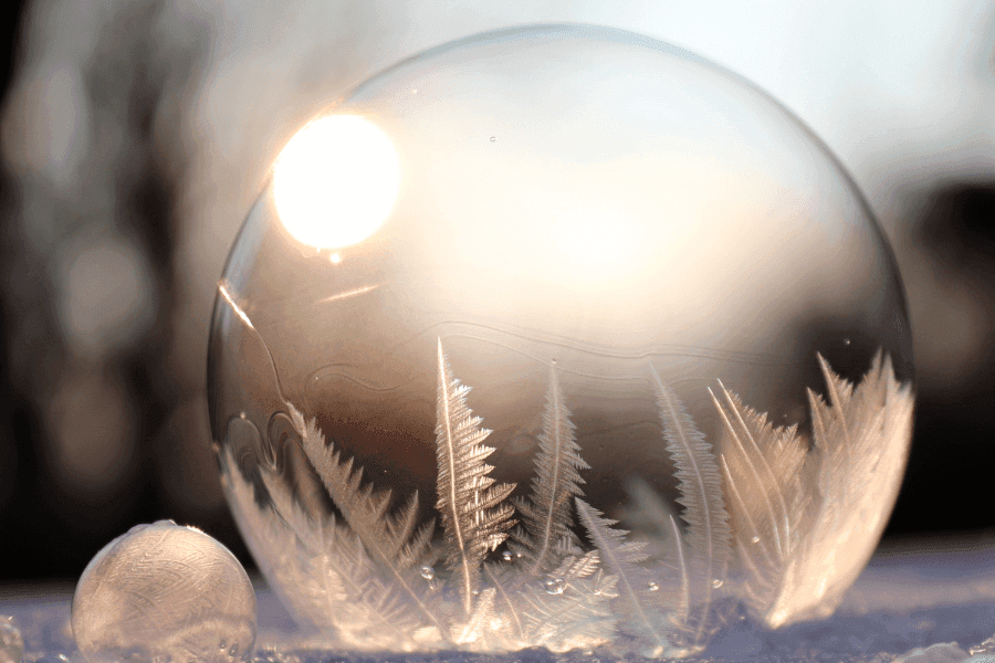 冬の蚊が持つスピリチュアルな意味