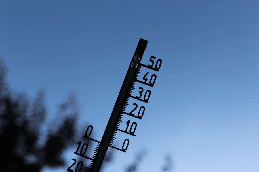 蚊の活動温度とは