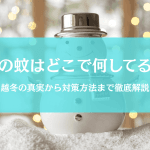 蚊って冬はどこにいる＆何してる？越冬や冬眠の「なぜ」を徹底解説！
