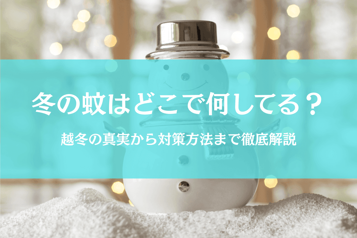 蚊って冬はどこにいる&何してる?越冬や冬眠の「なぜ」を徹底解説!