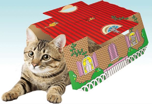 猫がゴキブリホイホイに捕まった？