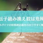 ビルゲイツが放つ遺伝子組み換え蚊は危険？メリット・デメリットと世界への影響