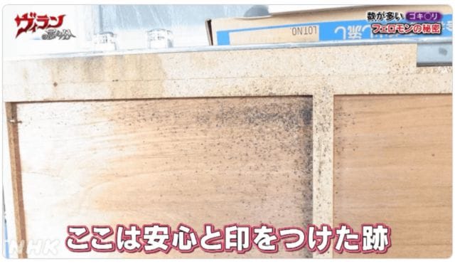 ゴキブリの糞に含まれるフェロモンの威力とは