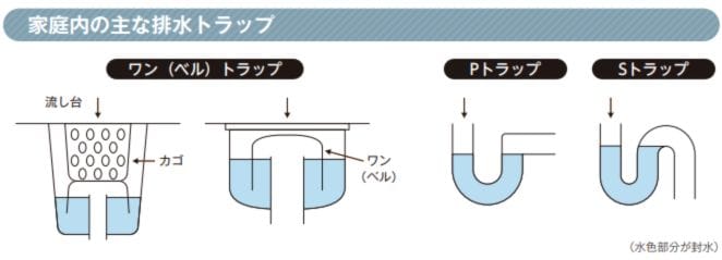 排水トラップと封水は害虫の侵入を防ぐ砦
