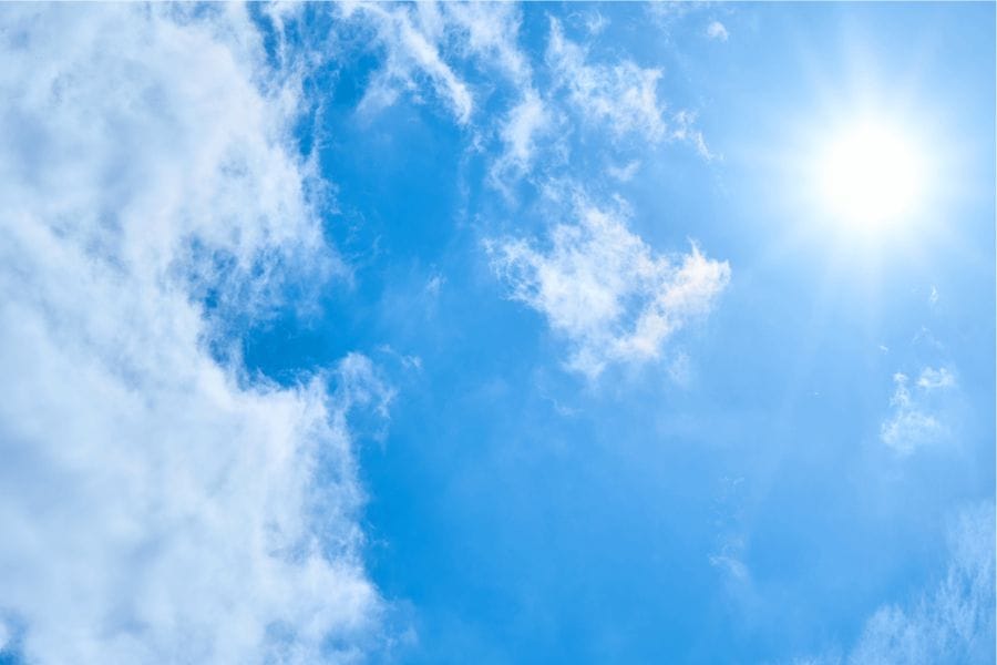 ゴキブリは昼間どこにいるのか