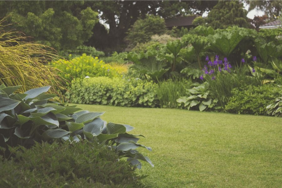 屋外でゴキブリはどこにいる？