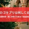 ゴキブリって冬はどこにいる＆何してる？冬眠する説の真実も徹底検証