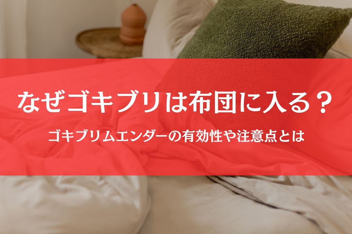 ゴキブリが布団に入ってくる理由と対策｜ゴキブリムエンダーでフンや卵も防げる？