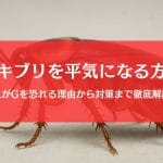 ゴキブリを平気になる方法６選｜恐怖症を克服し平気な人になれる？