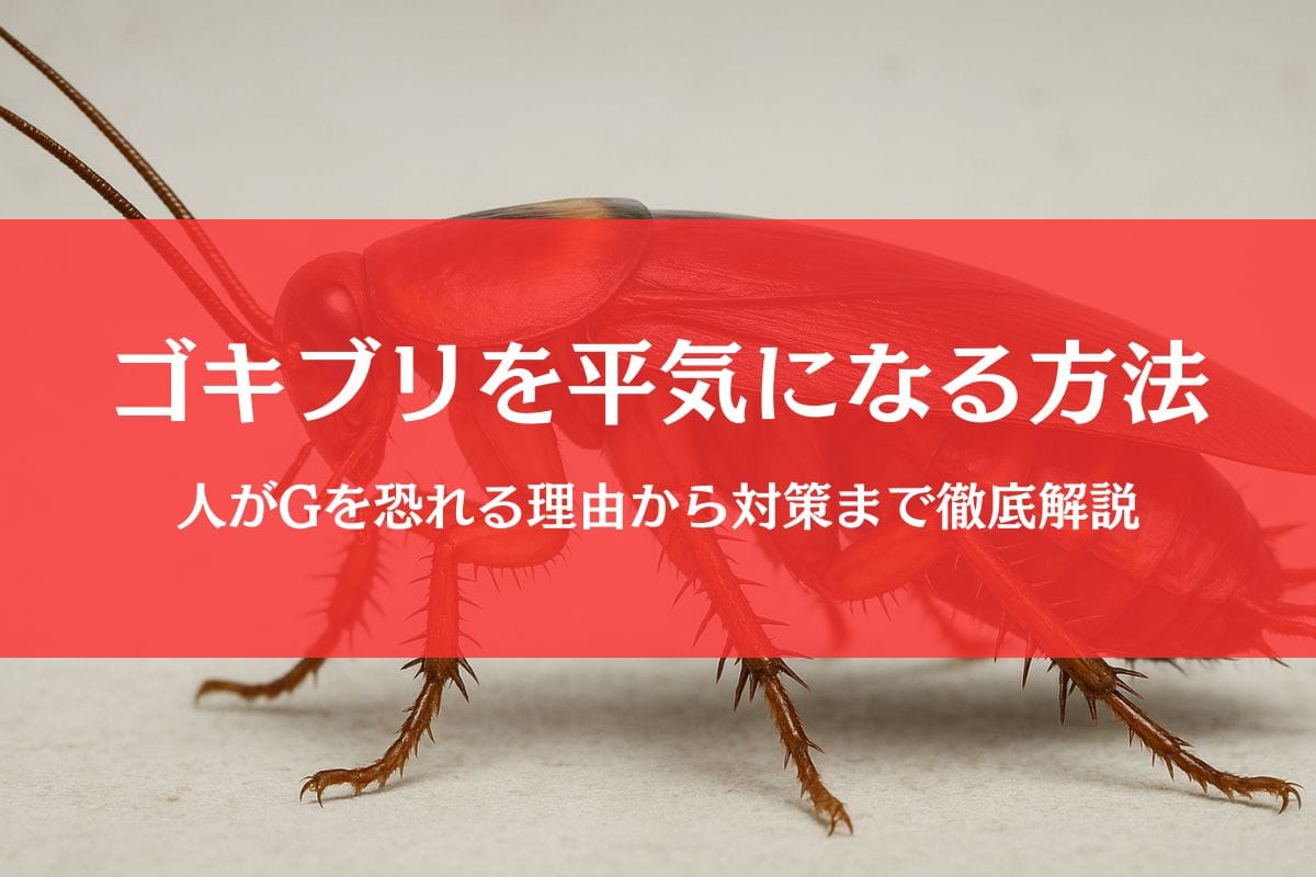 ゴキブリを平気になる方法６選｜恐怖症を克服し平気な人になれる？