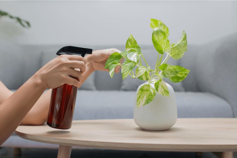 ハッカ油スプレーを作るときのポイント