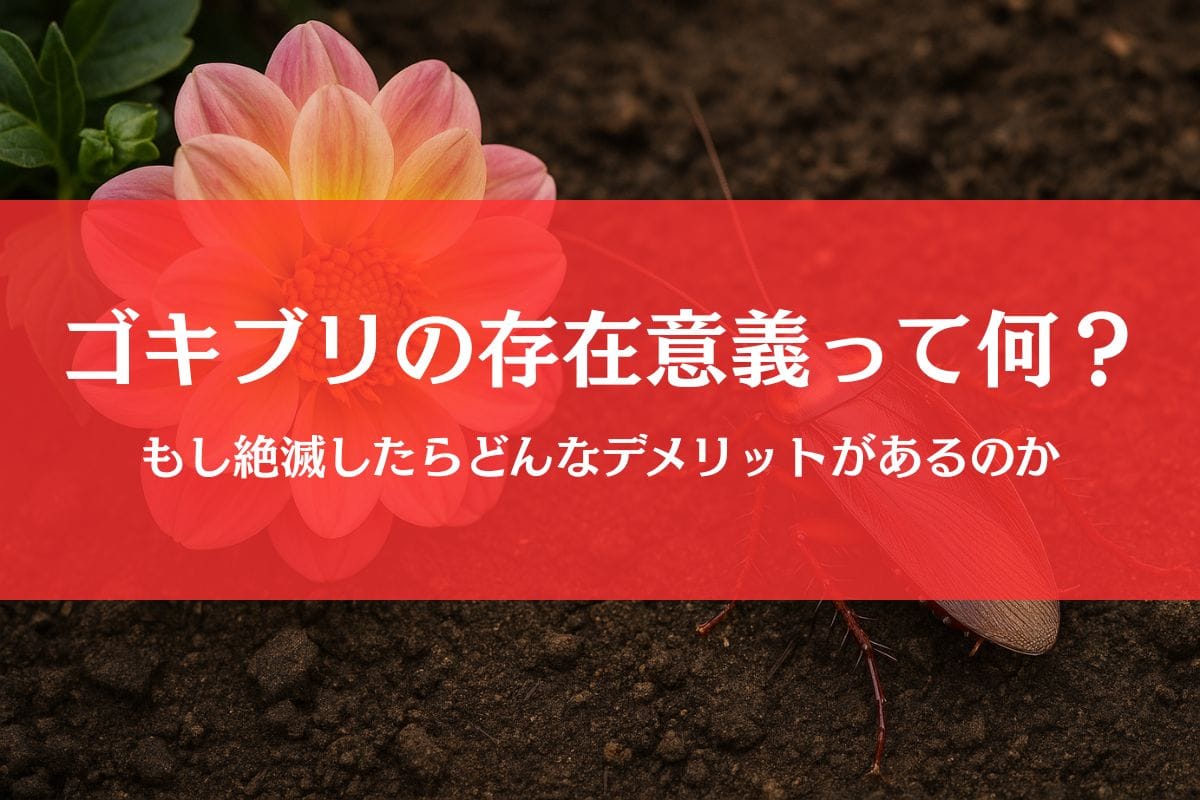 ゴキブリのいいところ(存在意義)を発見！絶滅したらデメリットが多すぎる件