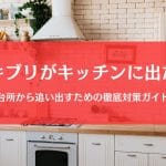 ゴキブリがキッチンに出た！引き出しもシンク下も台所の徹底対策ガイド