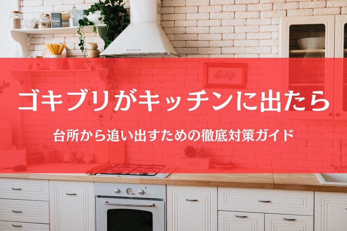 ゴキブリがキッチンに出た！引き出しもシンク下も台所の徹底対策ガイド