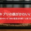 ゴキブリの顔はかわいい?殺すのかわいそう派の主張＆可愛いと思う方法まとめ