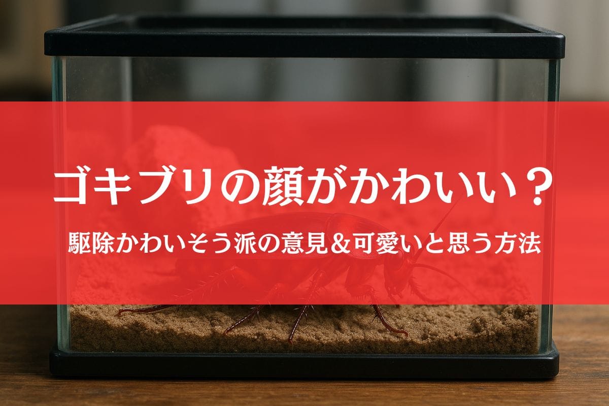 ゴキブリの顔はかわいい?殺すのかわいそう派の主張＆可愛いと思う方法まとめ