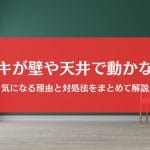 ゴキブリが壁や天井で動かない！気になる理由と正しい対処法まとめ
