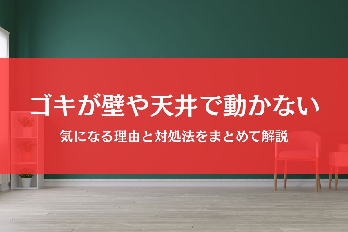 ゴキブリが壁や天井で動かない！気になる理由と正しい対処法まとめ